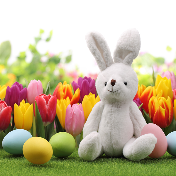 公式案内画像