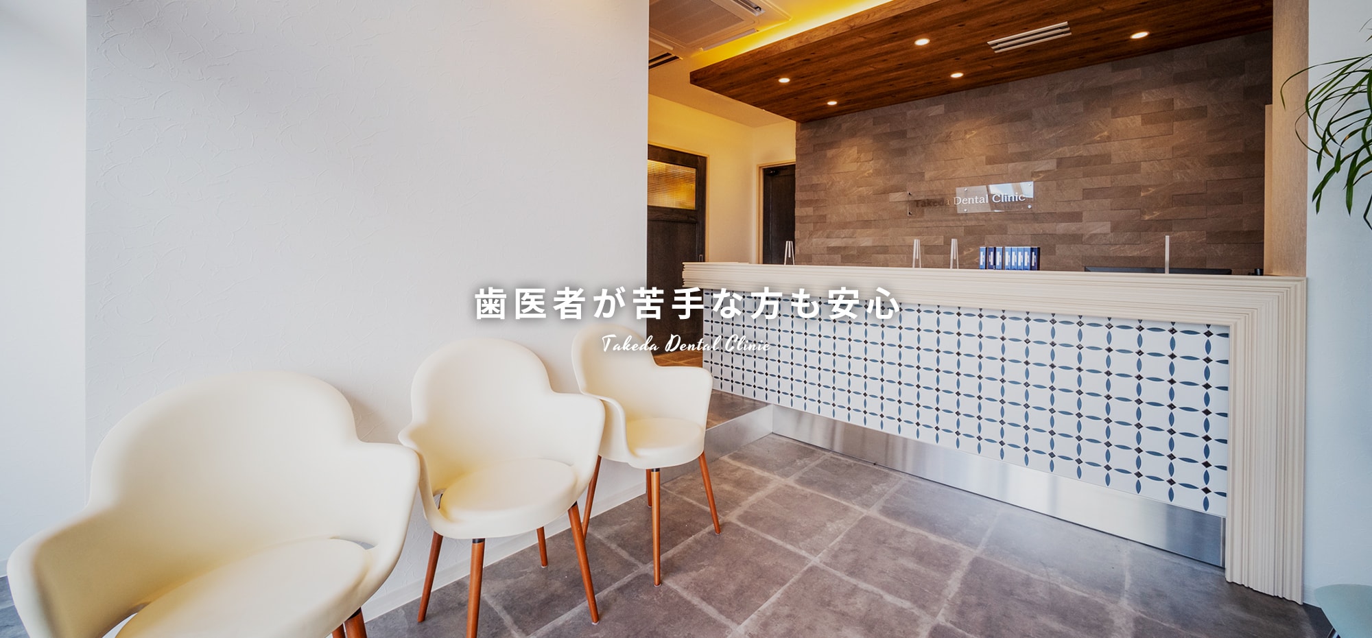 公式案内画像