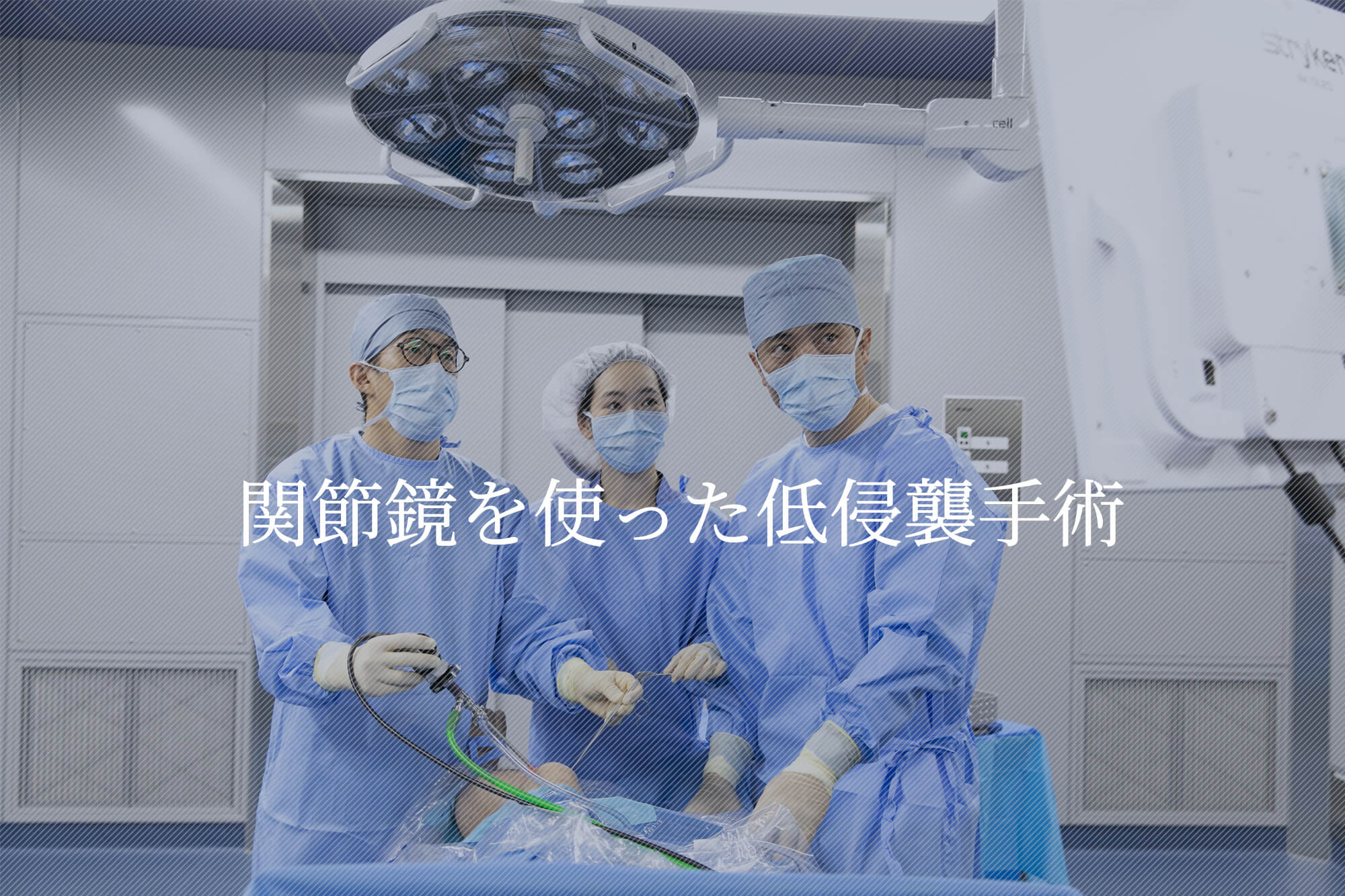 公式案内画像