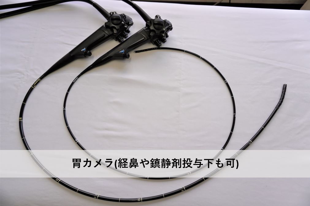 公式案内画像