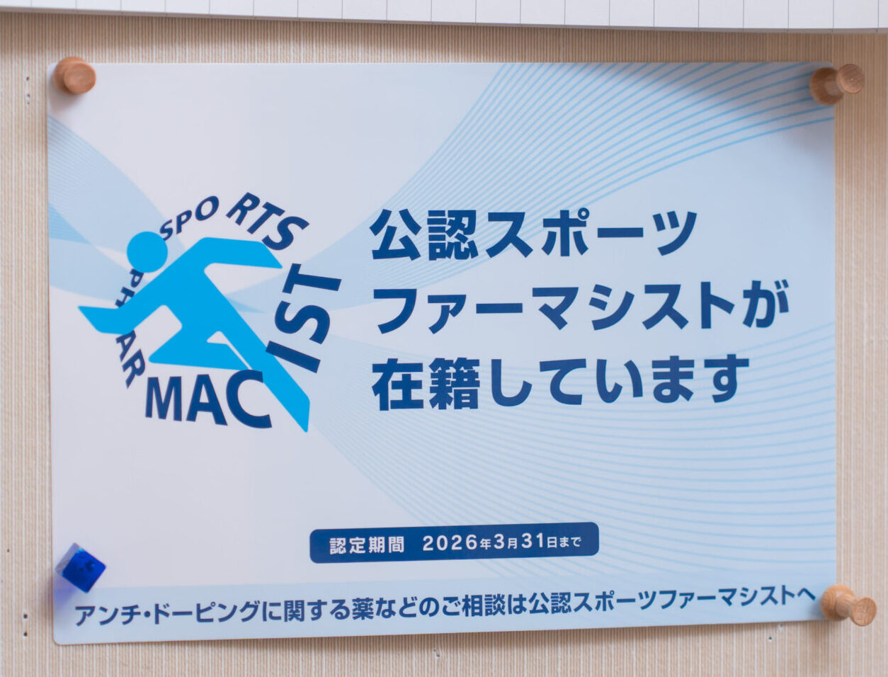 公式案内画像