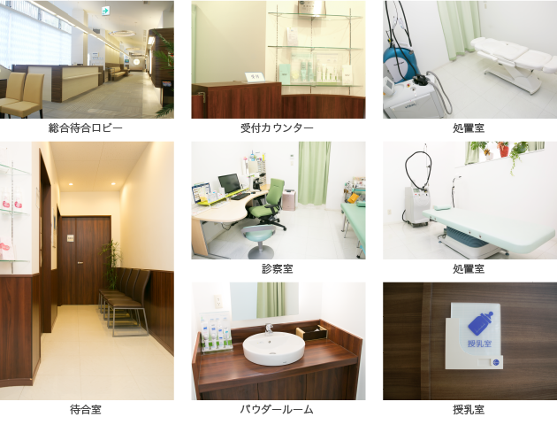 公式案内画像