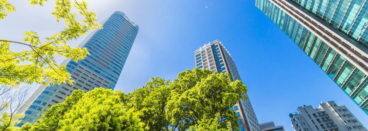 東宝ファシリティーズ株式会社 の写真