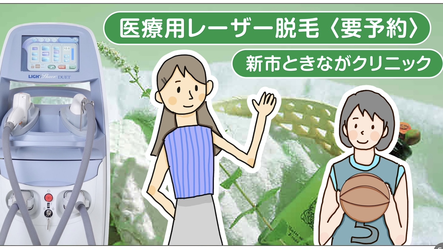 公式案内画像