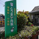公式案内画像