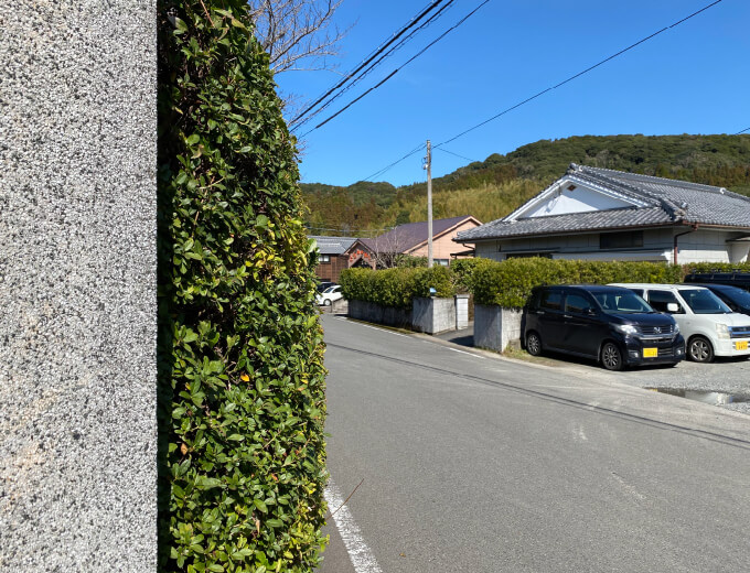 公式案内画像