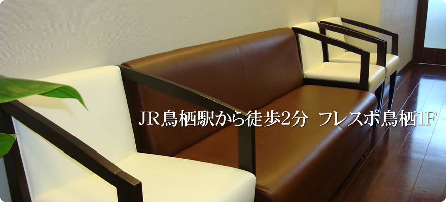 公式案内画像