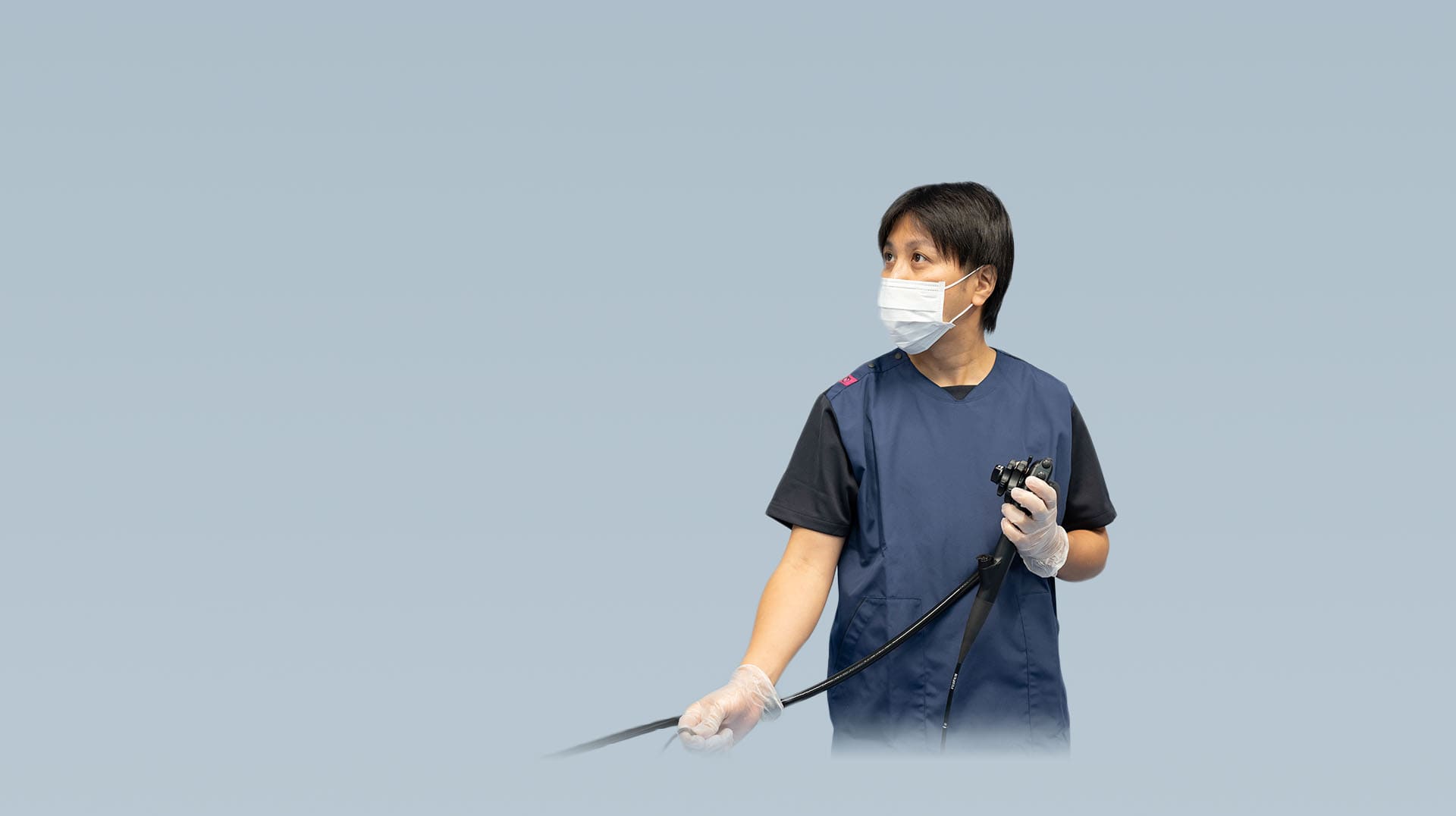 公式案内画像