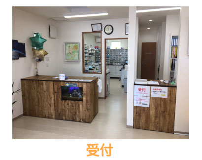 公式案内画像