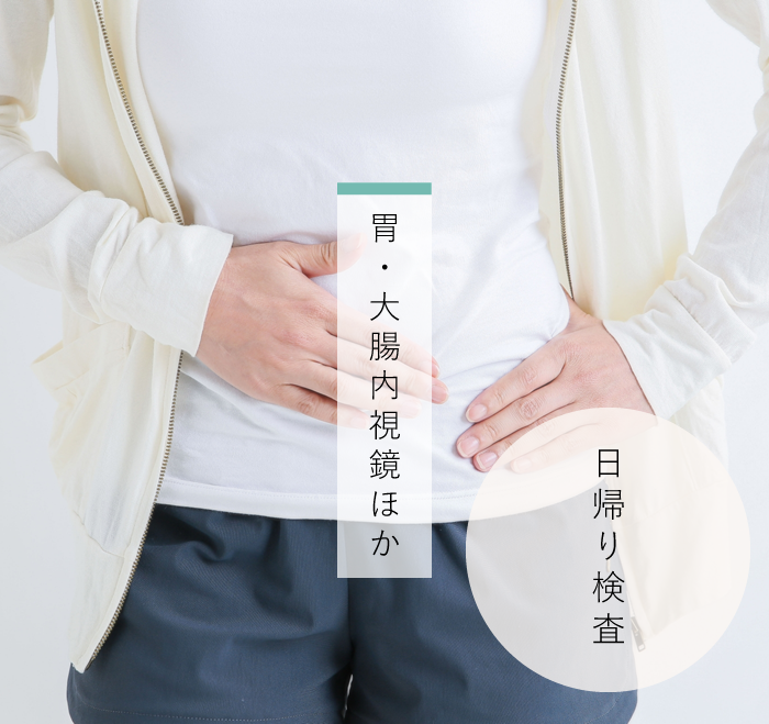 公式案内画像