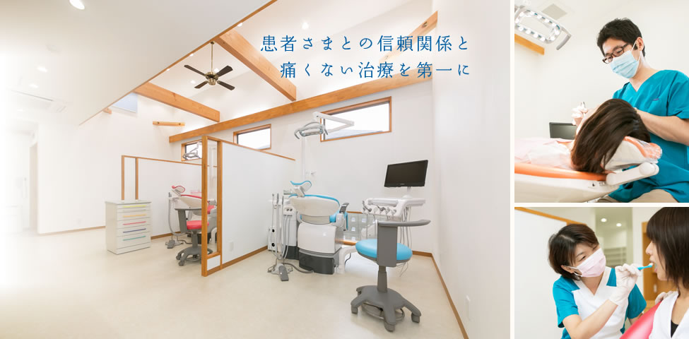 公式案内画像