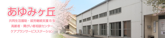公式案内画像