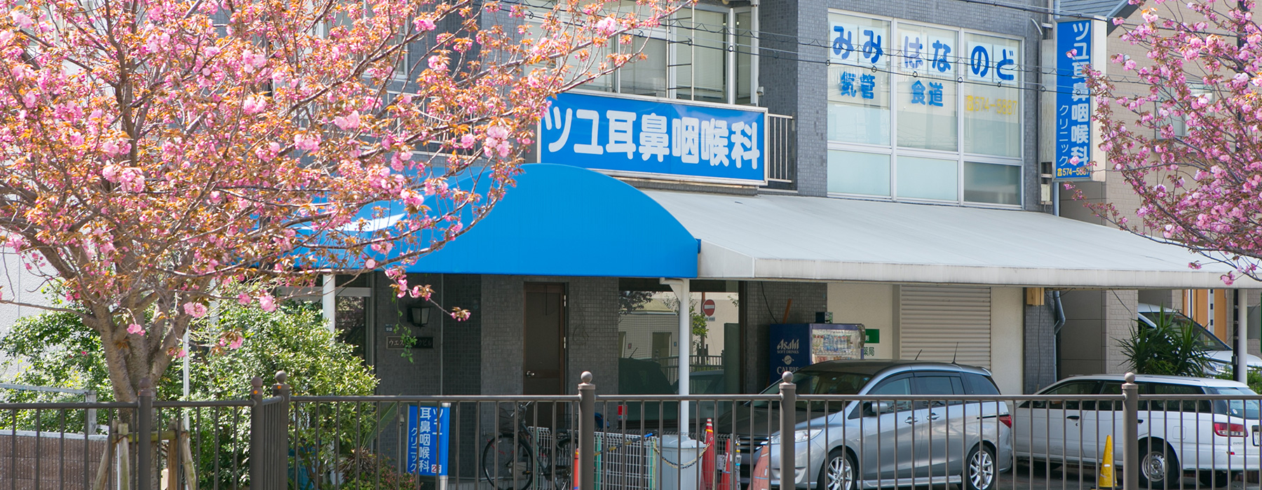 公式案内画像