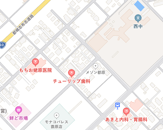 公式案内画像