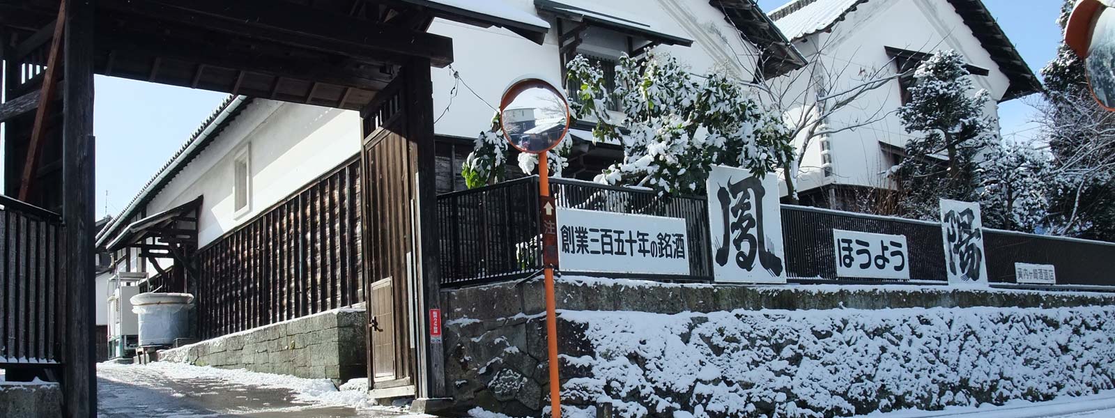 公式案内画像