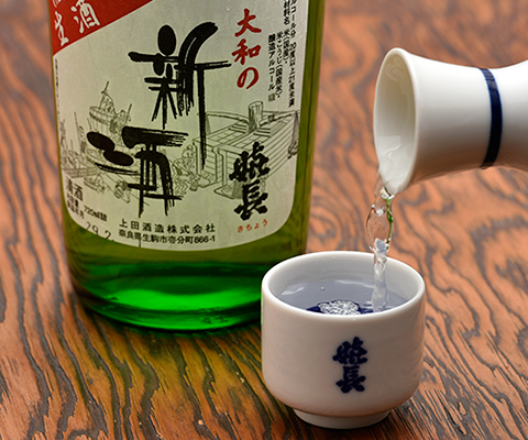 公式案内画像