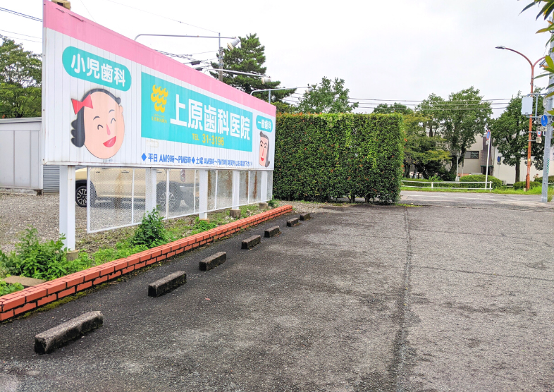 公式案内画像