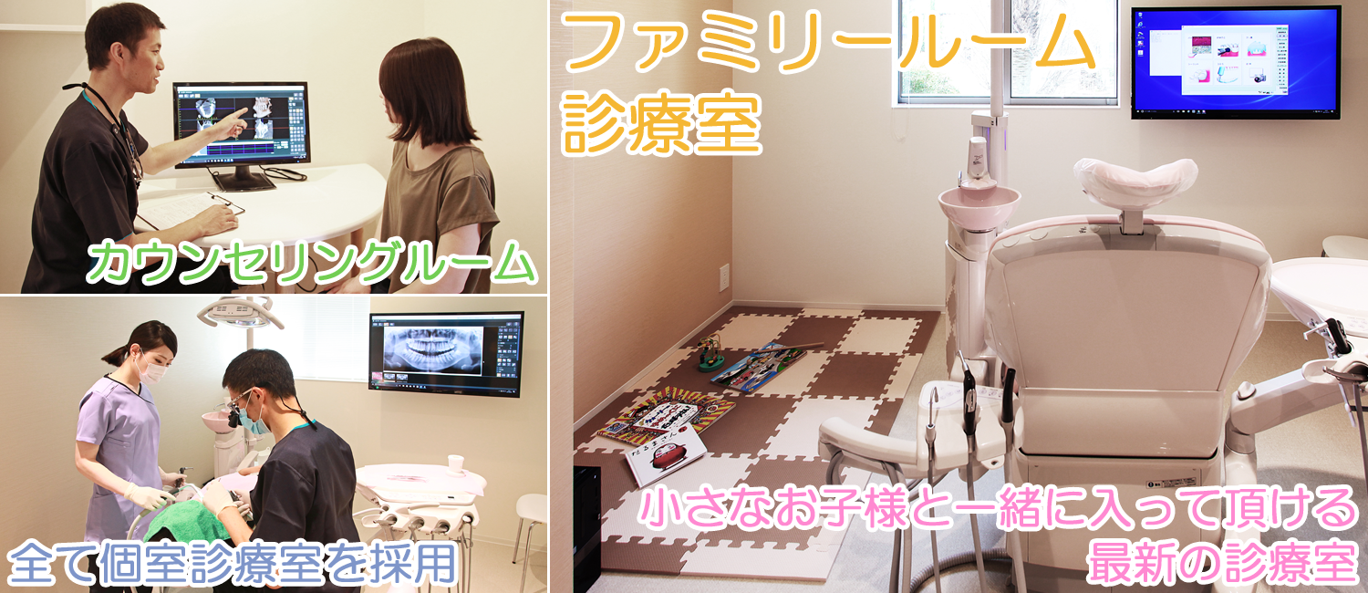 公式案内画像