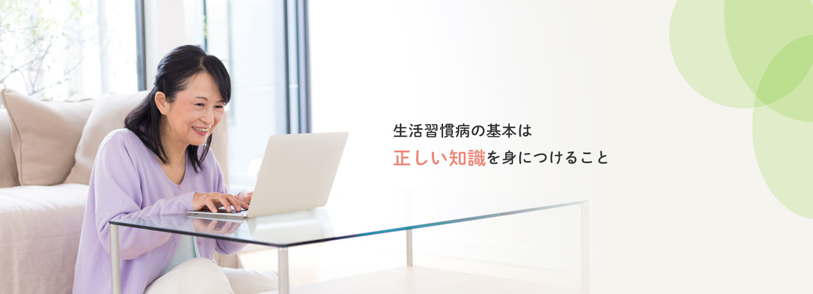 公式案内画像