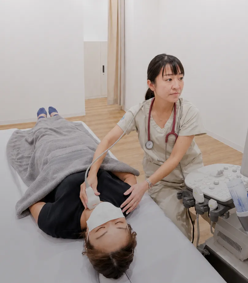 公式案内画像