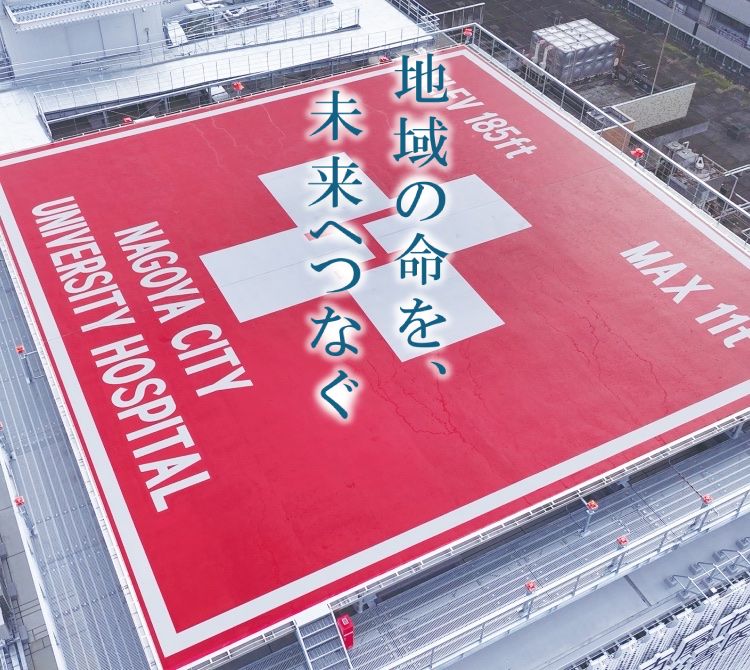 公式案内画像