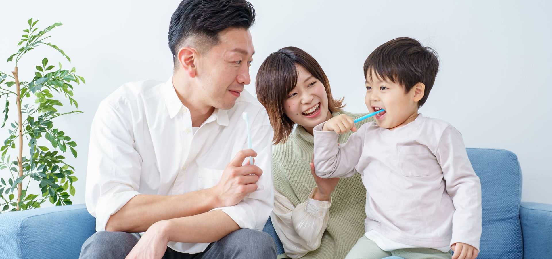 公式案内画像