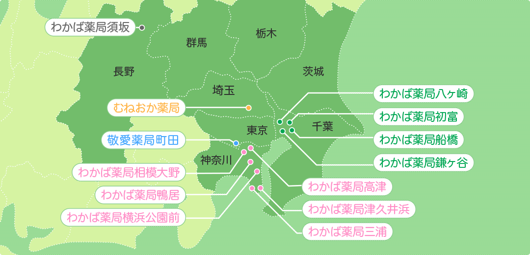 公式案内画像