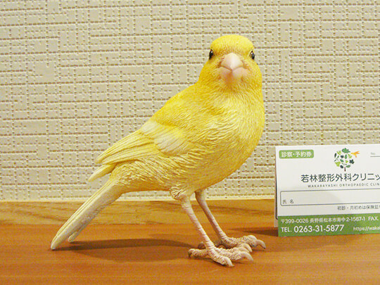 公式案内画像