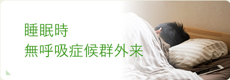 公式案内画像