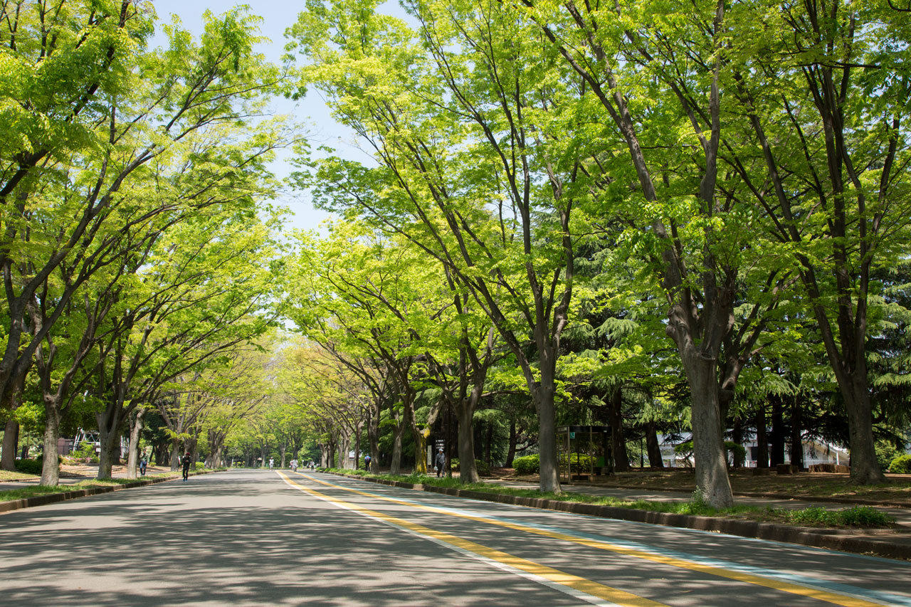 ウェルビーイングクリニック駒沢公園 の写真
