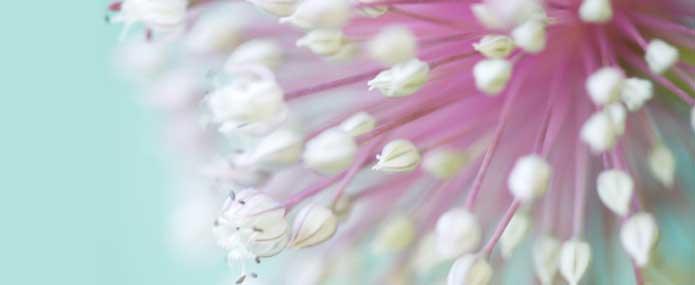 ひろ内科 の写真