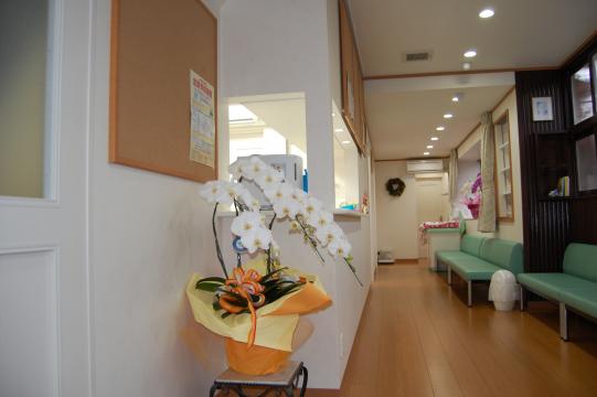 小児科中村医院 の写真