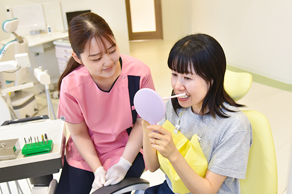 公式案内画像