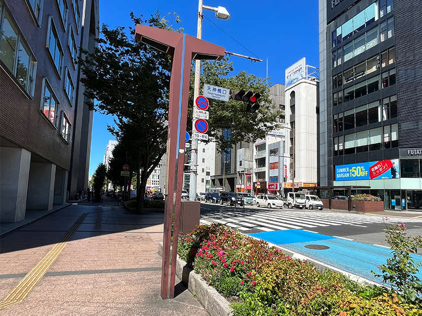 公式案内画像