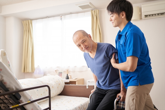 公式案内画像