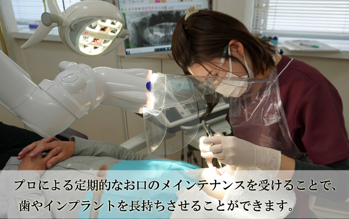 公式案内画像