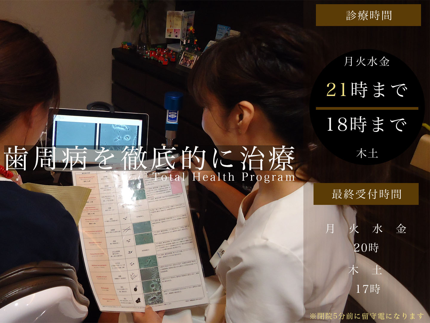 公式案内画像