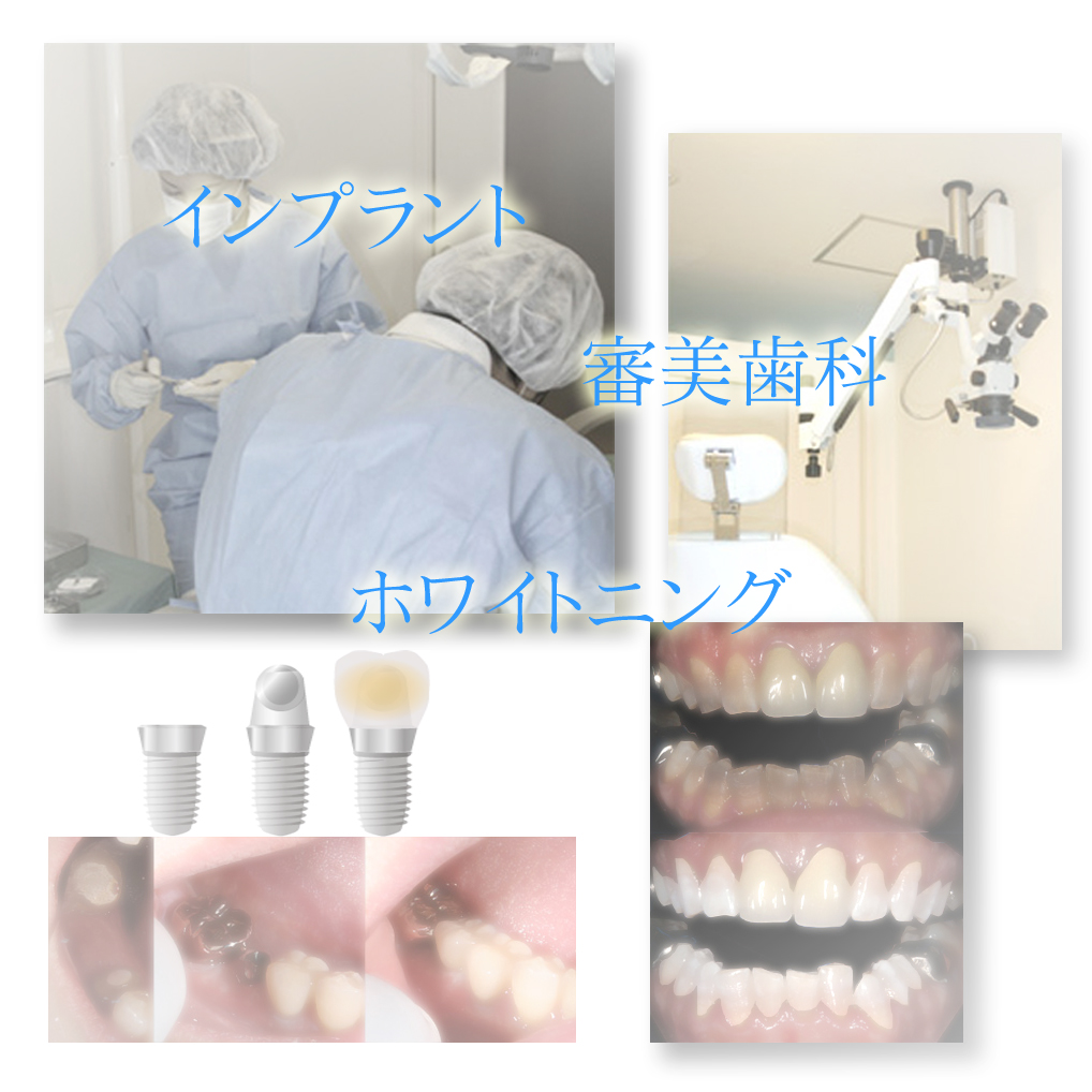 公式案内画像