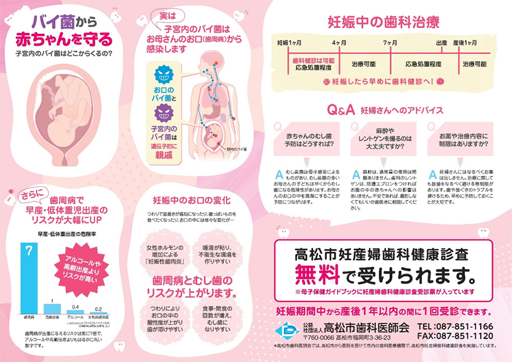 公式案内画像