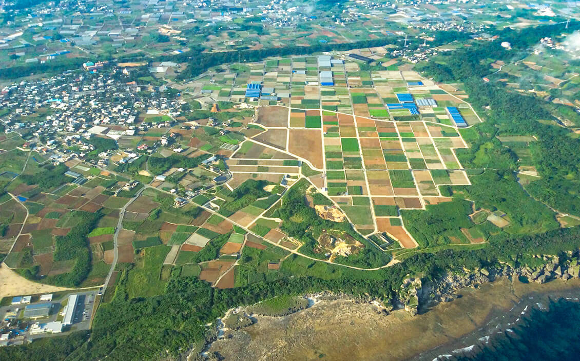 琉球大学農学部附属 亜熱帯フィールド科学教育研究センター の写真