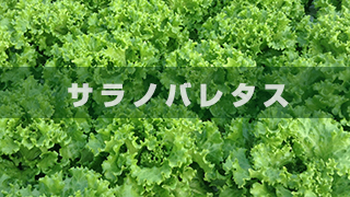 アグリグリーン株式会社 の写真