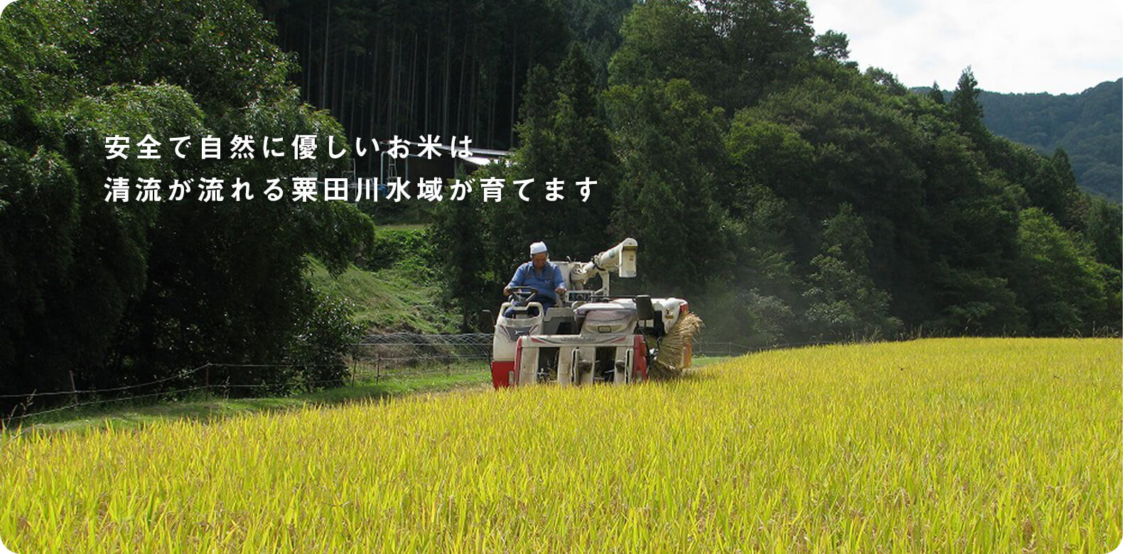 公式案内画像