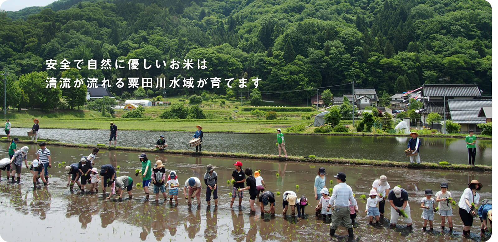 公式案内画像