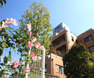 公式案内画像