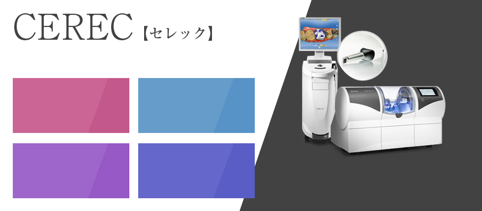 公式案内画像