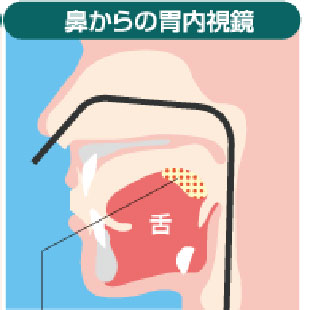 公式案内画像