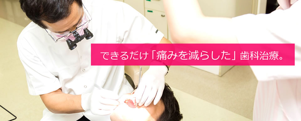公式案内画像