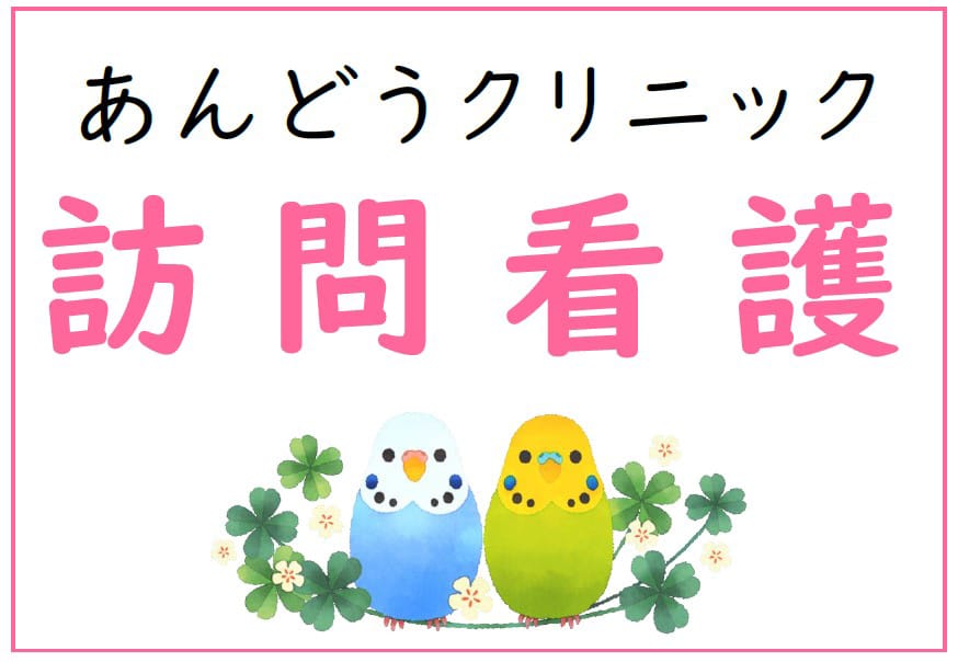 公式案内画像