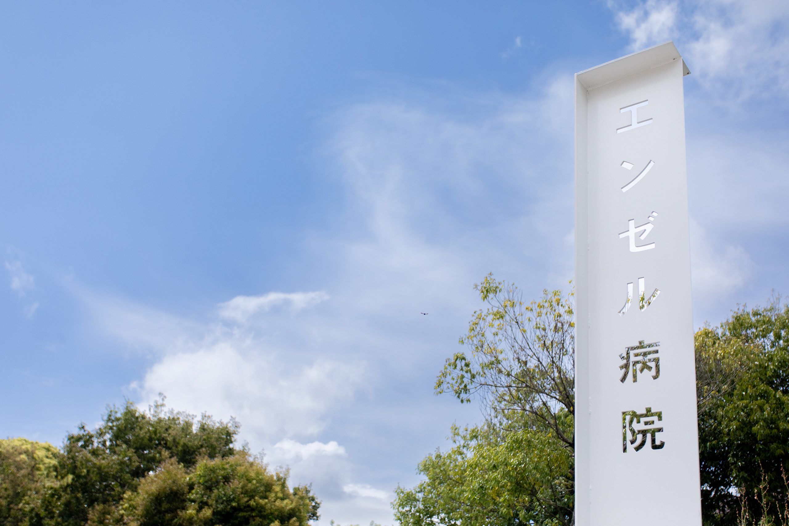 公式案内画像