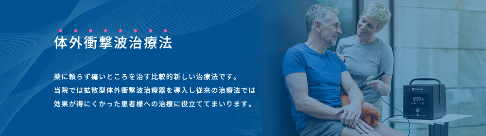 公式案内画像